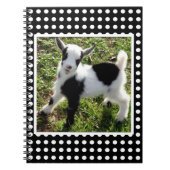 Kind van zwarte en witte poka Dot Nigerian Dwarf G Notitieboek (Voorkant)