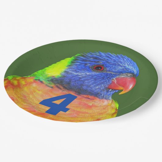 Kind Verjaardag Leeftijd Regenboog Loriket Papieren Bordje (Gekanteld)