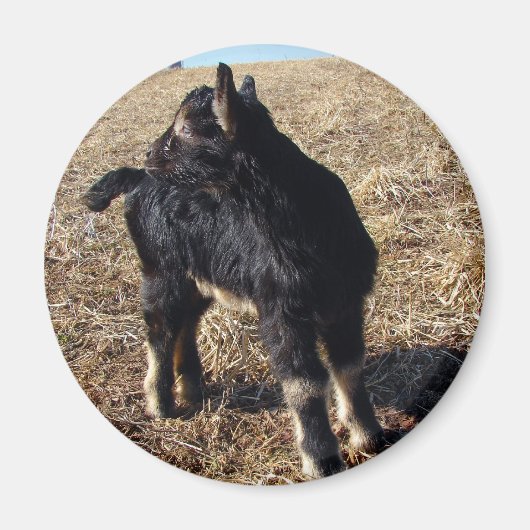 Kind voor zwart en tan magneet (Voorkant)