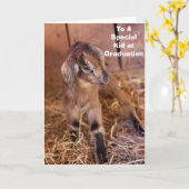 KIND ZEGT: "AAN EEN SPECIAAL KIND IN AFSTUDEREN" KAART (Gele Bloem)