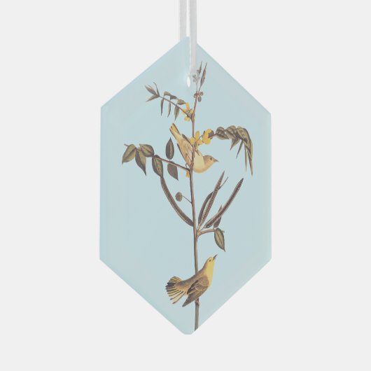 Kindaarngeel vogel glas ornament (Voorkant Rechts)