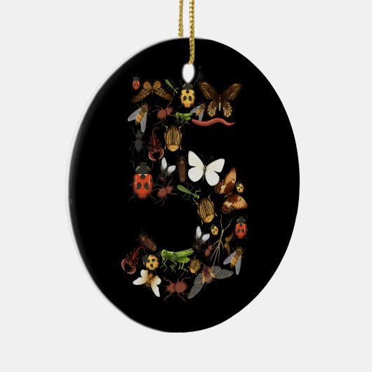 Kinder 5e Verjaardag Bugs Insecten Kevers Jongens Keramisch Ornament (Rechts)