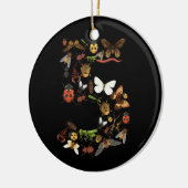 Kinder 5e Verjaardag Bugs Insecten Kevers Jongens Keramisch Ornament (Links)