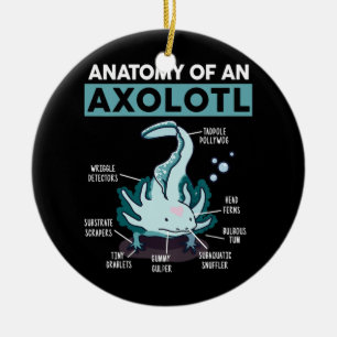 Kinder anatomie van een Axolotl Mexicaanse walvisv Keramisch Ornament