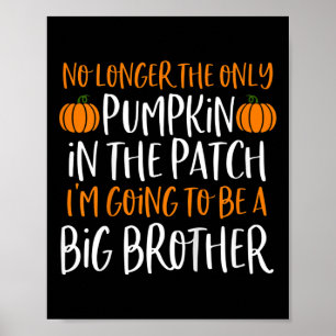 Kinder Big Brother Herfst Zwangerschap Hallo Poster