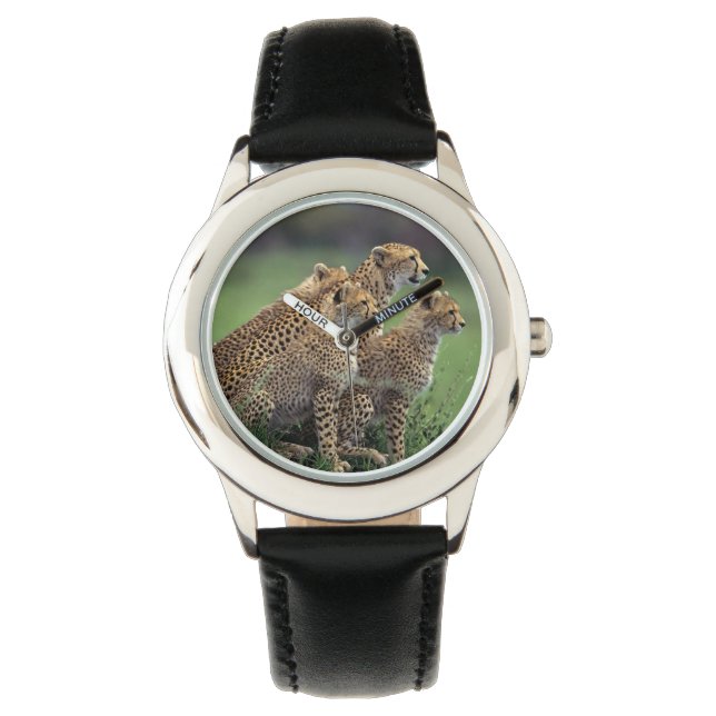 Kinder Classic Watch/Wildlife Cheetah's Horloge (Voorkant)