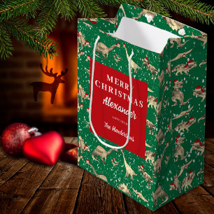 Kinder gepersonaliseerde kerst-dinosaurussen in de medium cadeauzakje