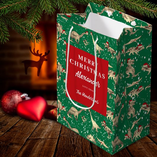 Kinder gepersonaliseerde kerst-dinosaurussen in de medium cadeauzakje