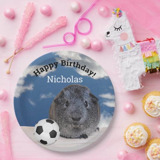 Kinder Happy Birthday Guinea Pig Voetbal Aangepast Papieren Bordje (Feest)