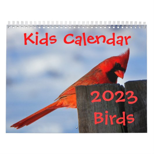 Kinder Kalender - 2015 - Vogels (Hoes)