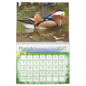 Kinder Kalender - 2015 - Vogels (Mar 2027)