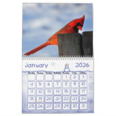Kinder Kalender - 2015 - Vogels (Jan 2026)