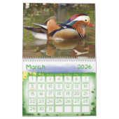 Kinder Kalender - 2015 - Vogels (Mar 2026)