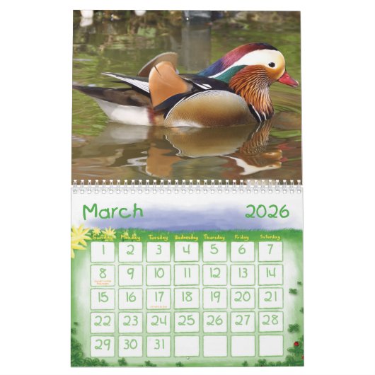 Kinder Kalender - 2015 - Vogels (Mar 2026)