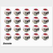 Kinder kerst cavia's Stickers (Vel)