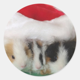 Kinder kerst cavia's Stickers