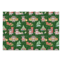 Kinder Kerst Schattigee Feestdieren Beer