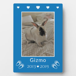 Kinder Pet Bunny Konijnenverlies | Blauwe foto Mem Fotoplaat