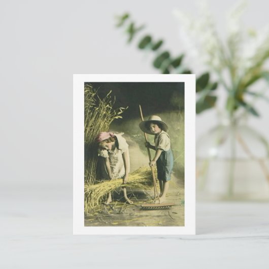 Kinder Raking Hay 1903  Handgekleurd Briefkaart (Staand voorkant)