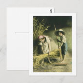 Kinder Raking Hay 1903  Handgekleurd Briefkaart (Voorkant / Achterkant)