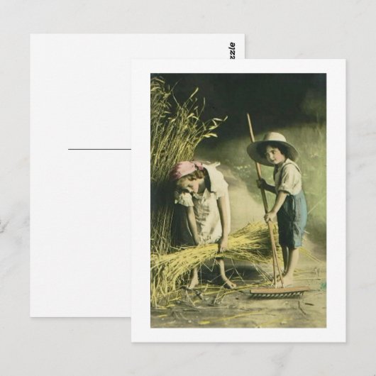 Kinder Raking Hay 1903  Handgekleurd Briefkaart (Voorkant / Achterkant)