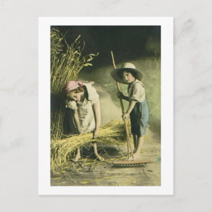 Kinder Raking Hay 1903 Handgekleurd Briefkaart