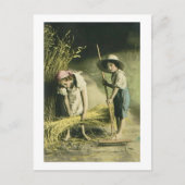 Kinder Raking Hay 1903  Handgekleurd Briefkaart (Voorkant)