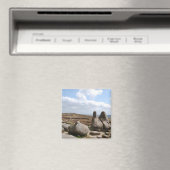 Kinder Scout Magneet (Insitu (Vaatwasser))