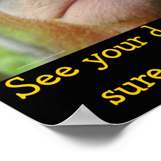 Kinder tandheelkundige kindertandarts poster (Hoek)