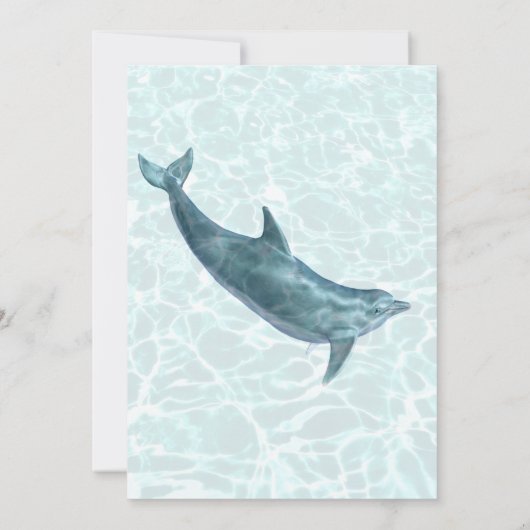 Kinder uitnodiging voor het feest van de dolfijn (Achterkant)