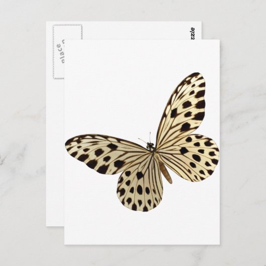 Kinder vlinder briefkaart (Voorkant / Achterkant)