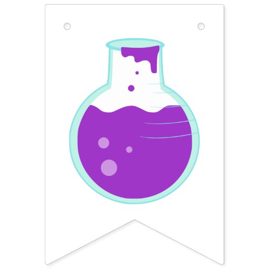 Kinder Wetenschapspartij Vlaggetjes (Tweede vlag)