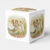  kinderboek Baby, zenuwkamer decor Bedankdoosjes (Achterkant)