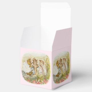  kinderboek Baby, zenuwkamer decor Bedankdoosjes