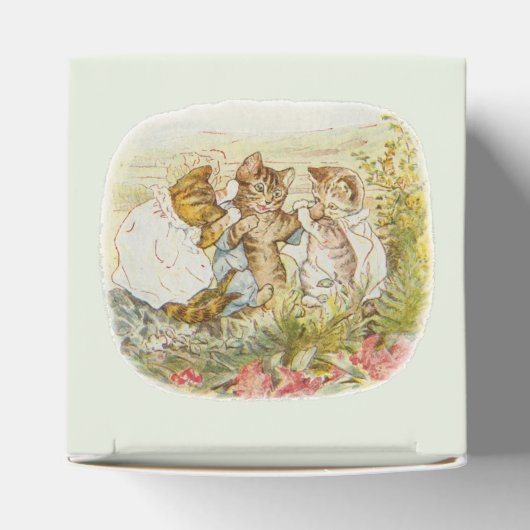  kinderboek Baby, zenuwkamer decor Bedankdoosjes (Bovenkant)