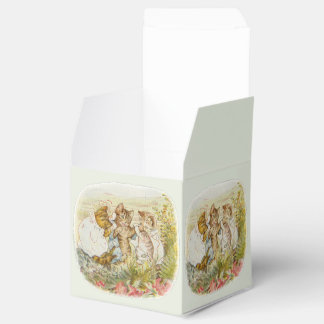  kinderboek Baby, zenuwkamer decor Bedankdoosjes