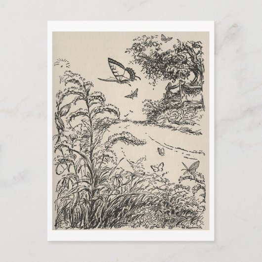  kinderboek illustratie vlinders briefkaart (Voorkant)