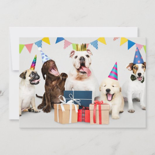 Kinderdagfeest Uitnodiging, Honden, Naam Kaart (Voorkant)