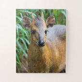 Kinderdierentuin Puzzle Legpuzzel (Verticaal)