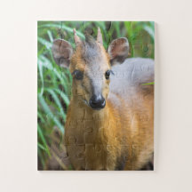 Kinderdierentuin Puzzle