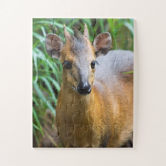 Kinderdierentuin Puzzle Legpuzzel (Verticaal)