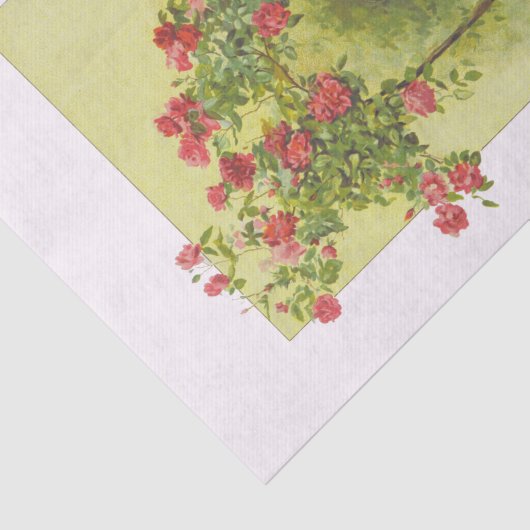  kinderDoll onder Roos Tissuepapier (Detail)