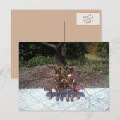 Kinderen die veel te weinig lezen briefkaart (Voorkant / Achterkant)