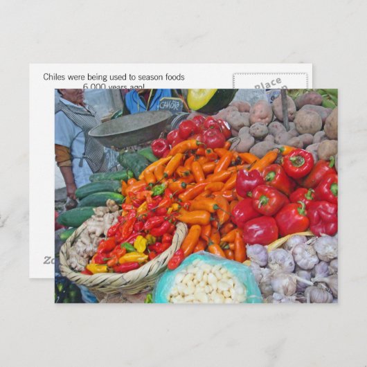 Kinderen en meer briefkaart (Voorkant / Achterkant)