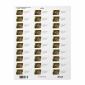 Kinderen Gigantoraptor Dinosaurier Avontuur Kunst Etiket (Full Sheet)