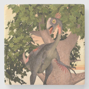 Kinderen Gigantoraptor Dinosaurier Avontuur Kunst Stenen Onderzetter