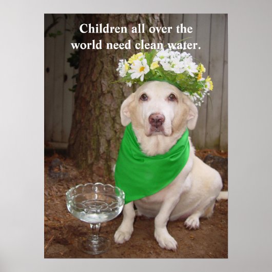 Kinderen over de hele wereld hebben schoon water n poster (Voorkant)