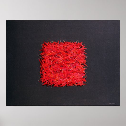 Kinderen Poster (Voorkant)