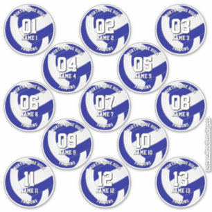 kinderen tieners koningsblauw wit 13 volleybalclub sticker