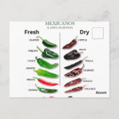 Kinderen, vers en droog Thunder_Cove Briefkaart (Achterkant)